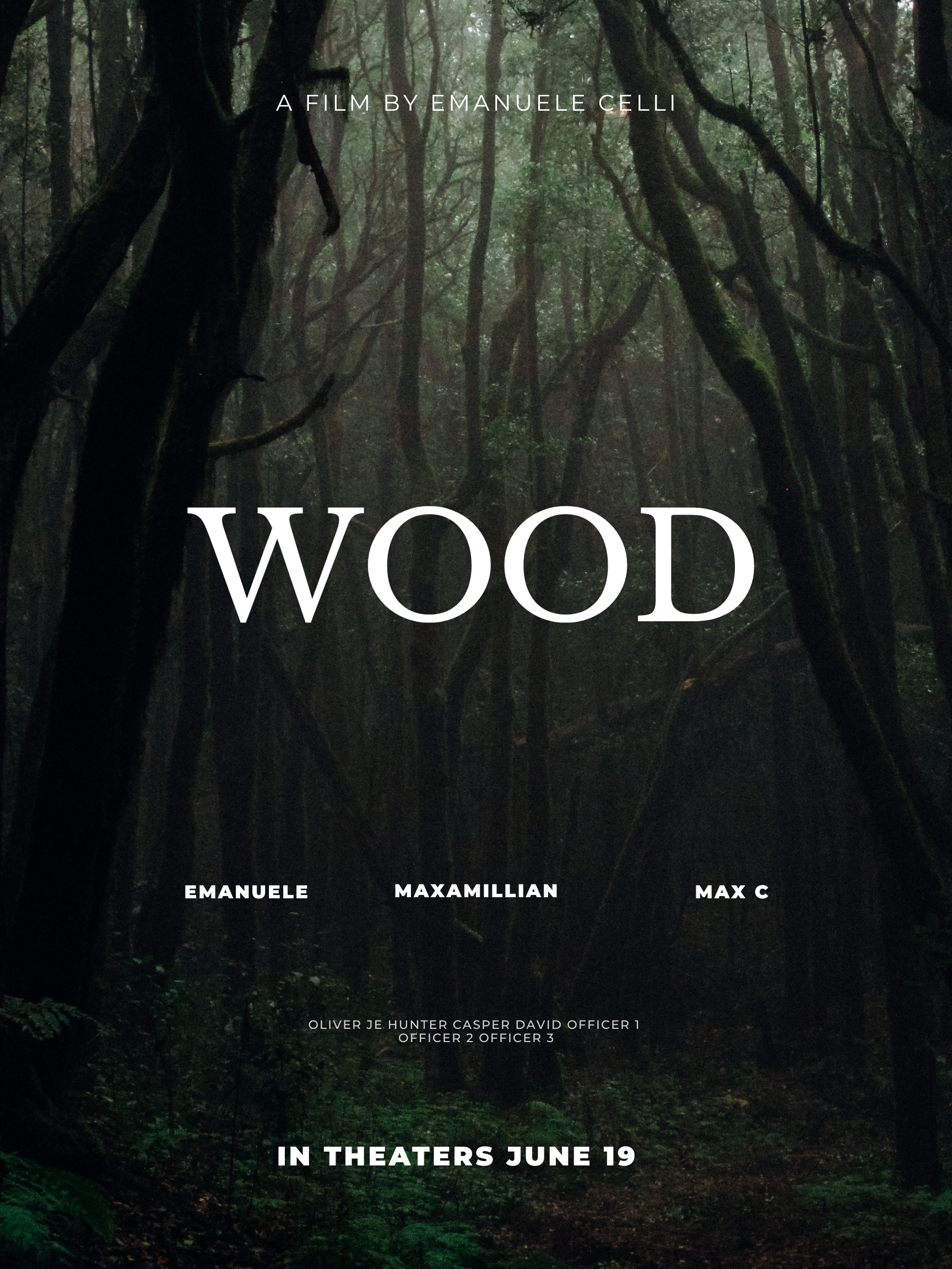 Locandina del film Wood